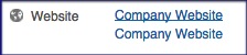 CompanyWebsite1