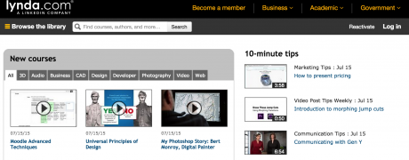 Lynda.com dashboard