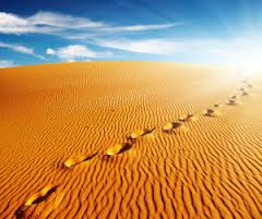 desert footprint